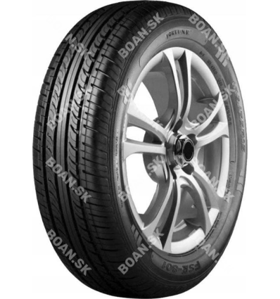 Fortune FSR801