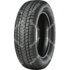 Gripmax SURE GRIP eWINTER 205/65 R17 100V TL XL M+S 3PMSF
